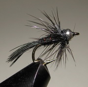 ���� �����  nymph SH black ������ � 12